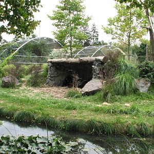 Opole Zoo 2008 - Front of the gorilla exhibit
