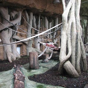 Opole Zoo 2008 - Indoor gorilla exhibit