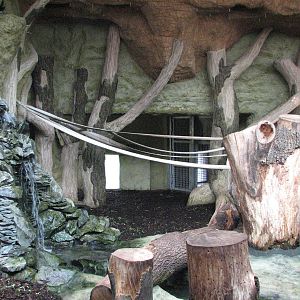 Opole Zoo 2008 - Indoor gorilla exhibit