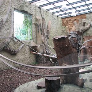 Opole Zoo 2008 - Indoor gorilla exhibit