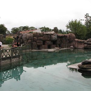 Opole Zoo 2008 - California Sea Lion pool