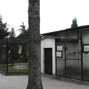 Opole Zoo 2008 - Aviaries