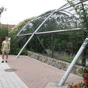 Opole Zoo 2008 - Feline enclosure