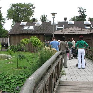 Opole Zoo 2008 - Giant Anteater exhibit