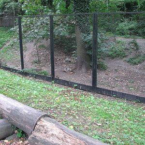 Opole Zoo 2008 - Wolf enclosure