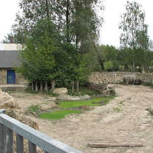 Opole Zoo 2008 - White Rhinoceros exhibit