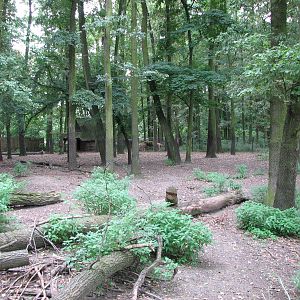 Opole Zoo 2008 - Massive wooden old deer enclosure