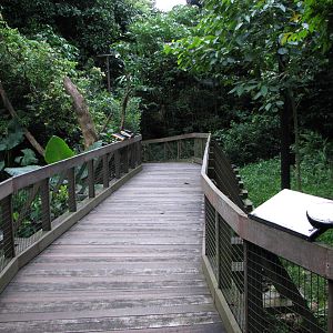 Singapore Night Safari 2008 - Wooden pathway between exhibits