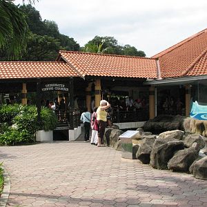 Underwaterworld Singapore 2008 - Outside tanks