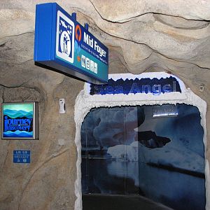 Underwaterworld Singapore 2008 - Entrance to the Sea Angel corridor