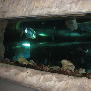 Underwaterworld Singapore 2008 - General view