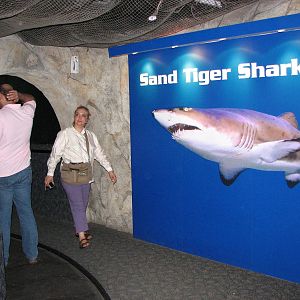 Underwaterworld Singapore 2008 - Entrance into Shark Tunnel