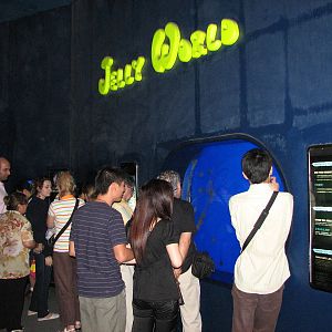 Underwaterworld Singapore 2008 - Jelly Fish tank