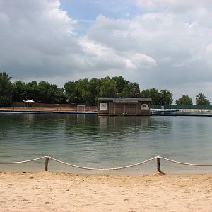 Dolphin Lagoon 2008 - Overview of the Lagoon