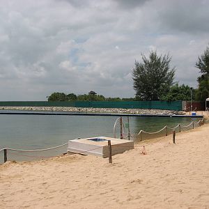 Dolphin Lagoon 2008 - Looking to the left from the viewing deck