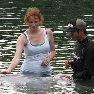 Dolphin Lagoon 2008 - Lucky Australian visitor gets to enter the Lagoon
