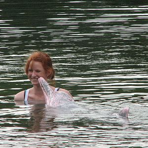 Dolphin Lagoon 2008 - Lucky Australian visitor gets to enter the Lagoon