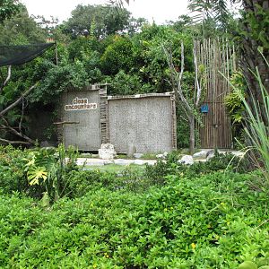 Sentosa Island Multi-animal Encounters 2008 - The first amphitheatre