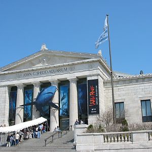 Shedd Aquarium 2003 - Aquarium building on the shores of Lake Michigan