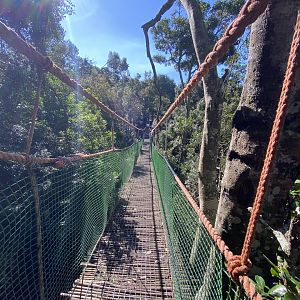 Rope bridge