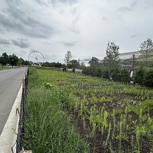 Update on the Pollinator & Rain Gardens growing behind Tropical Forests.