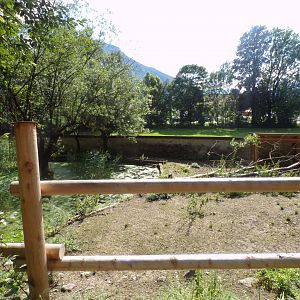 Forest reindeer enclosure 13.7.25