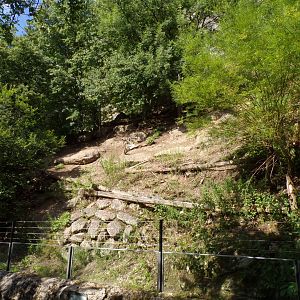 Part of chamois enclosure 13.7.25
