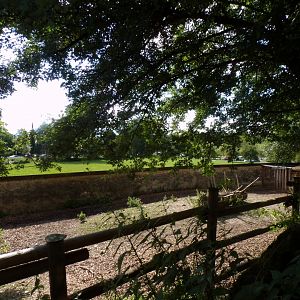 Forest reindeer enclosure 13.7.25