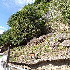 Chamois enclosure and European otter enclosure 13.7.25