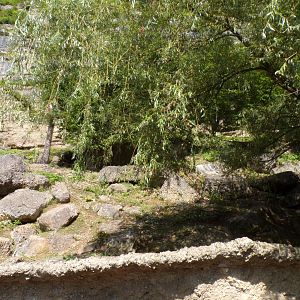 Chamois enclosure 13.7.25