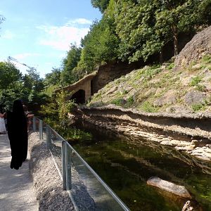 European otter enclosure 13.7.25
