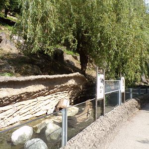 European otter enclosure 13.7.25