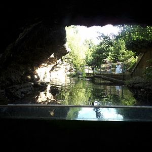 European otter enclosure 13.7.25