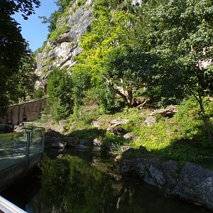 European brown bear and corsac fox enclosure 13.7.25