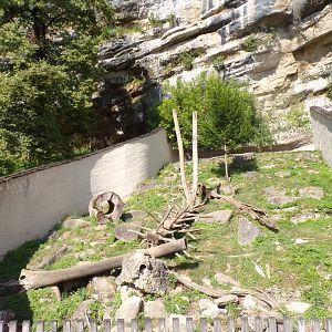 Wolverine enclosure 13.7.25