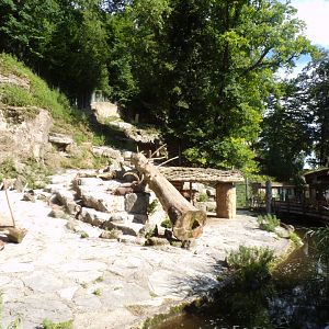 Alpine ibex enclosure 13.7.25