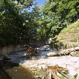 Alpine ibex enclosure 13.7.25
