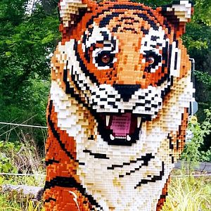 Caspian tiger Lego model 290725