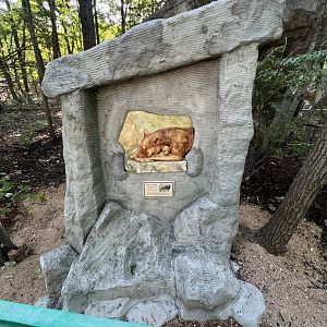 “Just Settling In” Red Wolf Art Installation