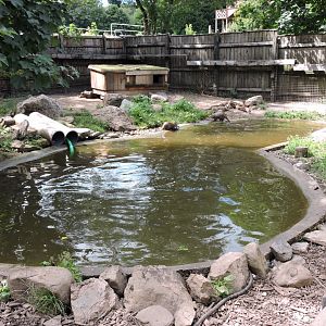 ASCO enclosure 1 - large family group (12+)