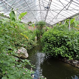 Butterfly House General View