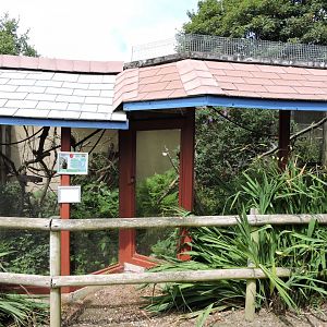 Squirrel Monkey and Tamarin Enclosures