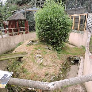 Striped Skunk Enclosure