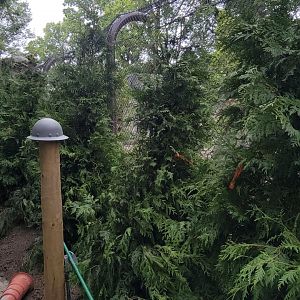 Jul. 2025 - Black Bear Ridge Construction Update (Added Arbs)