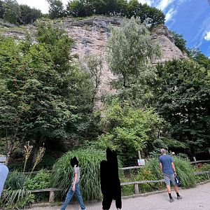 View of Rhea and Mara enclosure 13.7.25