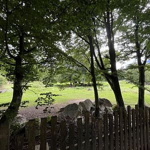 View of savannah 13.7.25