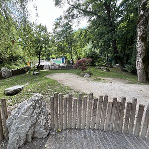 African spurred tortoise enclosure 13.7.25