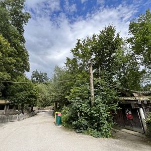 View of ring-tailed lemur freeroaming climbing frames 13.7.25