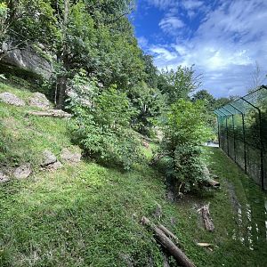 Jaguar enclosure 0.5 13.7.25