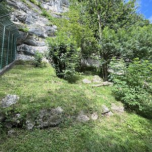 Jaguar enclosure 0.5 13.7.25